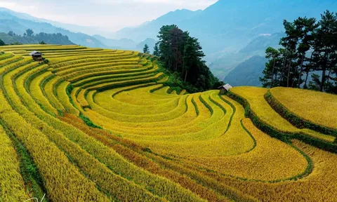 NƠI BÌNH YÊN TÌM VỀ!