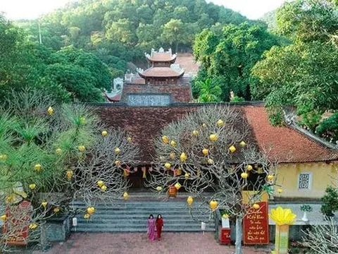 CÁC BẠN TRẺ VỚI DI TÍCH