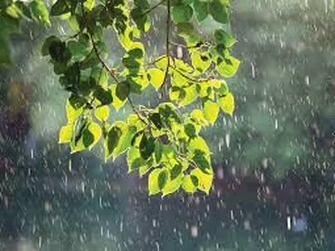 TIẾNG VÕNG MẸ RU