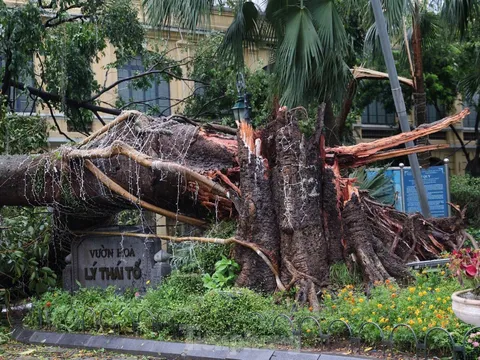 HÀ NỘI KHÔNG TAN HOANG SAU BÃO YAGI, NHƯNG CHỊU THIỆT HẠI NẶNG NỀ