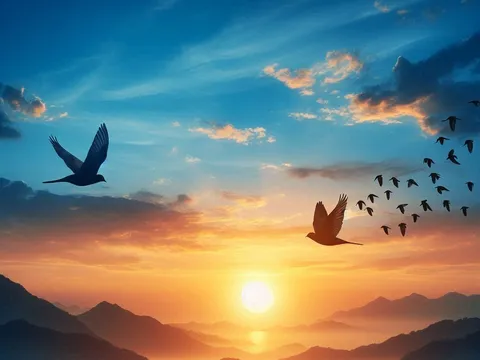 "NHỚ NẮNG" TRÒN 20 TUỔI